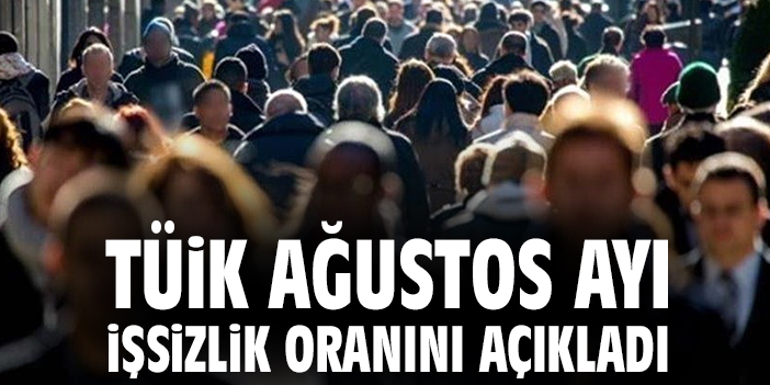 Ağustos’ta İşsizlik Oranı %8,5’e Düştü!