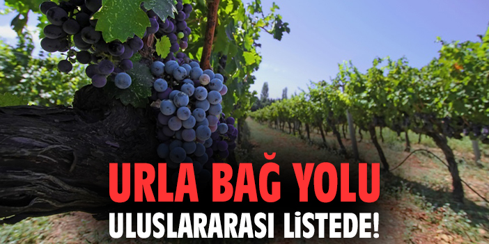 Urla Bağ Yolu, Sürdürülebilir Turizmde Ödül Aldı!