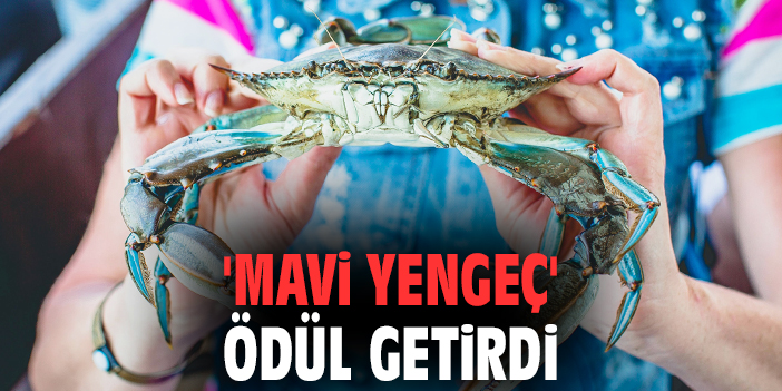 İEÜ Öğrencileri Lojistikte Türkiye İkincisi Oldu!