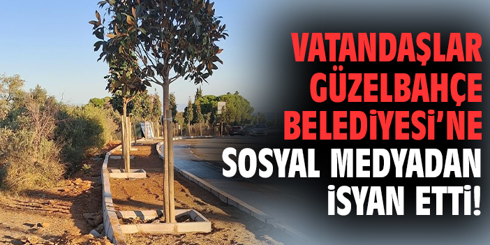 Güzelbahçe’de Kaldırım Krizi: Ağaçlar Tepki Çekti!