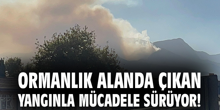 Merkezefendi’de Orman Yangını İkinci Güne Girdi
