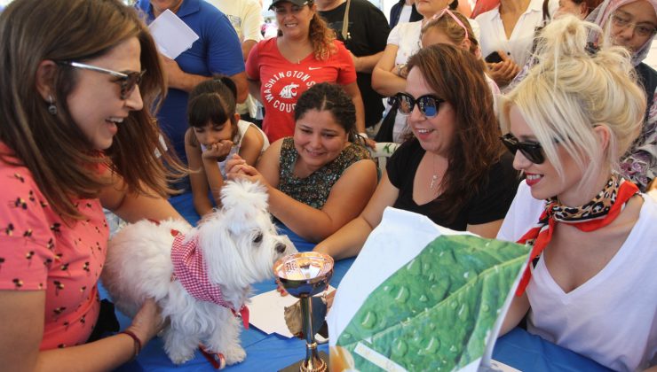 Patifest: Hayvanseverler Taypark’ta Buluşuyor!