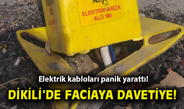 İzmir’de Tehlike: Elektrik Kabloları Açıkta!