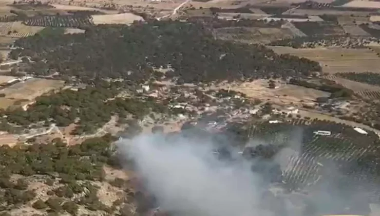 Dikili’de Tarım Arazisindeki Yangın Ormana Sıçradı