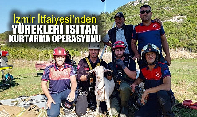 İtfaiye Ekipleri, Kuyuya Düşen Keçiyi Kurtardı!