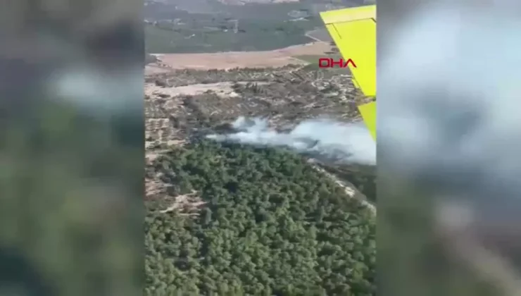 İzmir’de Tarım Yangını Ormana Sıçradı! Mücadele Sürüyor