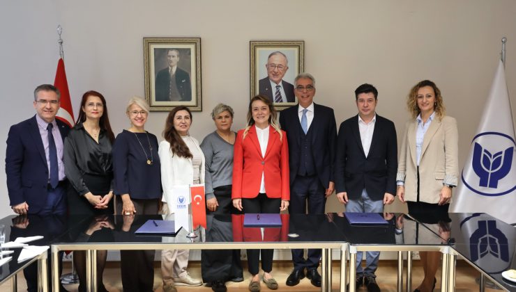 Sokak Hayvanları İçin Tasarlanmış Yeni Yuvalar