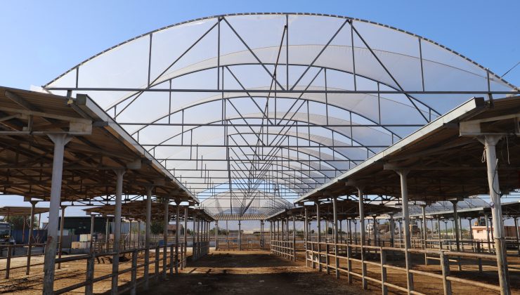 Ödemiş Pazarı’nda Tarım Coşkusu Devam Ediyor!