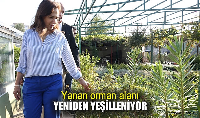Karşıyaka’da Fidan Dikim Şenliğiyle Doğa Yeniden Yeşerecek