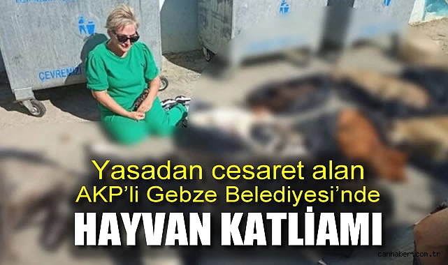 Gebze’de Hayvan Katliamı: Yasalar Aşılabilir Mi?