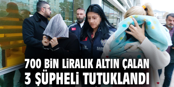 700 Bin TL’lik Hırsızlık Operasyonla Çözüldü!