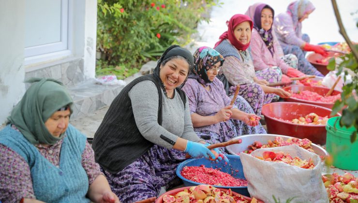Çıtak Mahallesi’nde Doğal Nar Ekşisi Hasadı