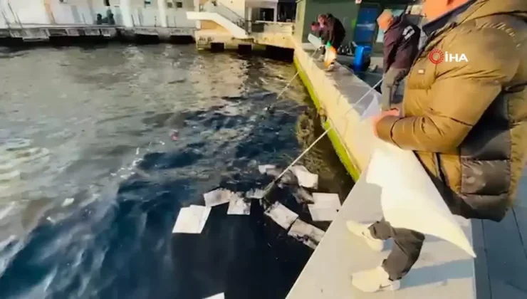 Körfezdeki Petrol Kirliliği İzmir’i Tehdit Ediyor!