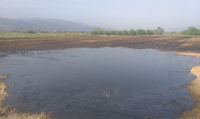 Atık Skandalı: Gübre Mi, Tehlike Mi?