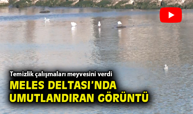 İzmir Körfezi’nde Temizlik Çalışmaları Başladı!