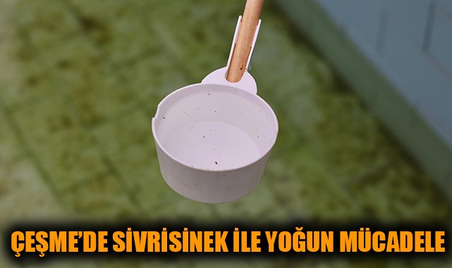 Çeşme’de Sinek Mücadelesine Cezalı Önlem!