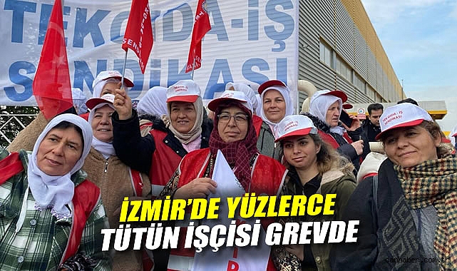 İzmir’de Tütün İşçileri Greve Çıktı: Mücadele Sürüyor!