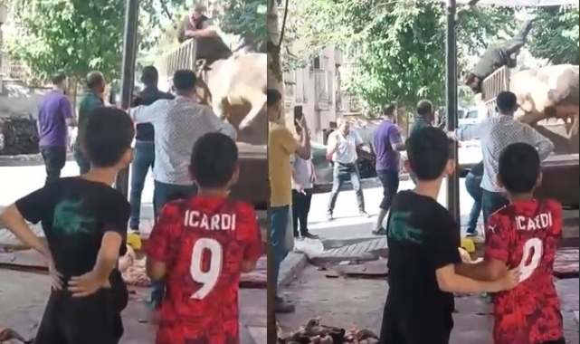 Boğa Saldırısı: Kasap Korku Dolu Anlar Yaşadı!