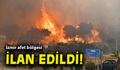Ali Yerlikaya: Yangınlar için Afet Bölgesi İlanı