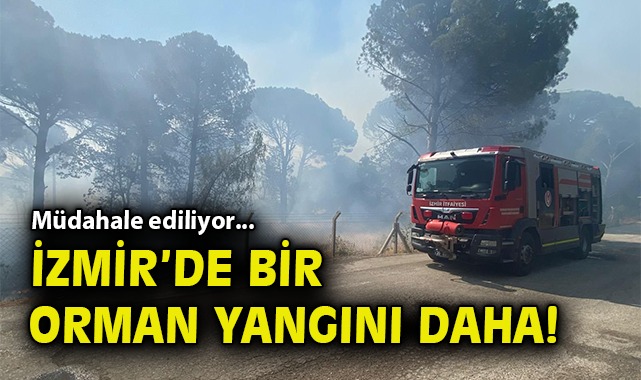 İzmir’de Yangın Seferberliği: Ekipler Tüm Gücüyle Mücadele Ediyor!
