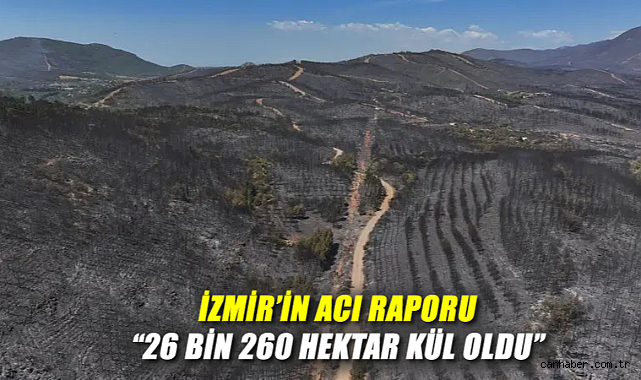 İzmir’de Yangınlar: Orman ve Tarım Alanları Yok Oluyor