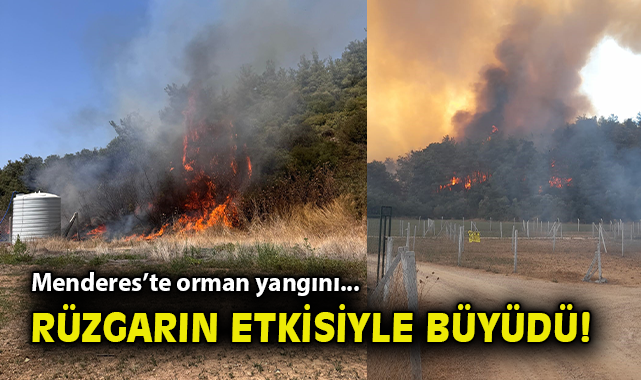 Menderes’te Alevler Ormanlık Alana Sıçradı!