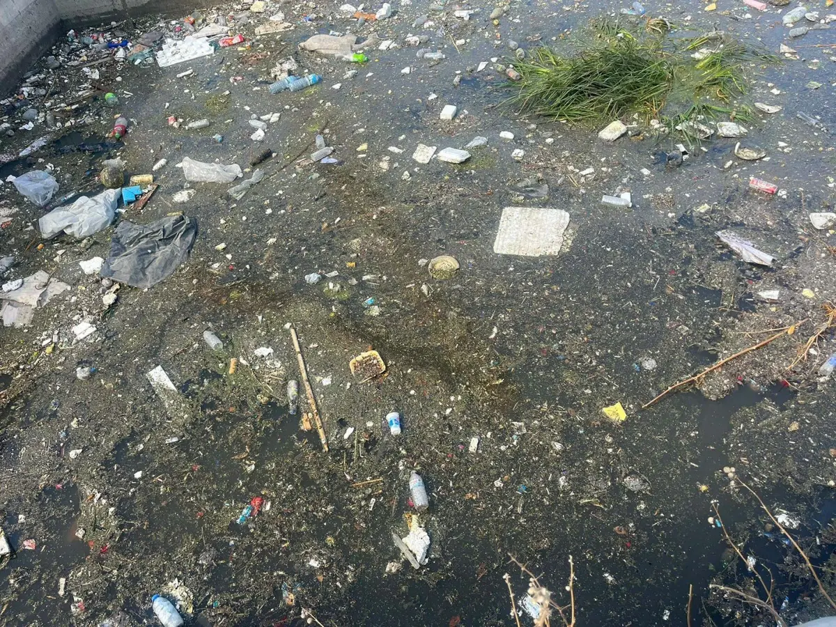 Halkapınar Deresi’nde Kötü Koku Krizi!