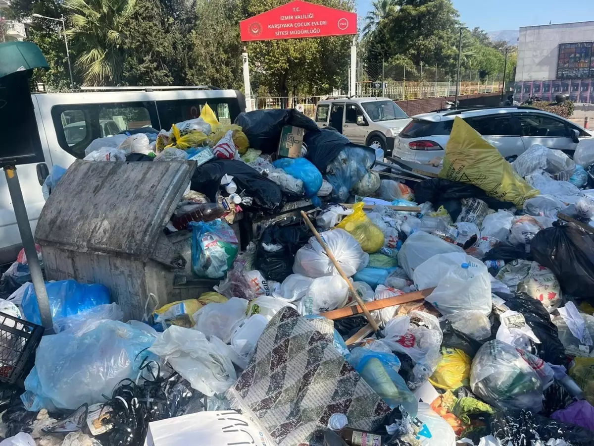 İzmir’de Karasinek Tehlikesi Artıyor!