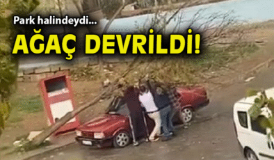 Şiddetli Rüzgar Ağaç Devirip Araca Zarar Verdi!