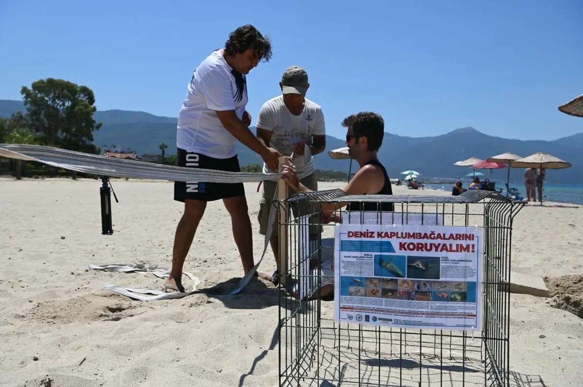 Caretta Caretta Yavruları Denize Kavuştu!