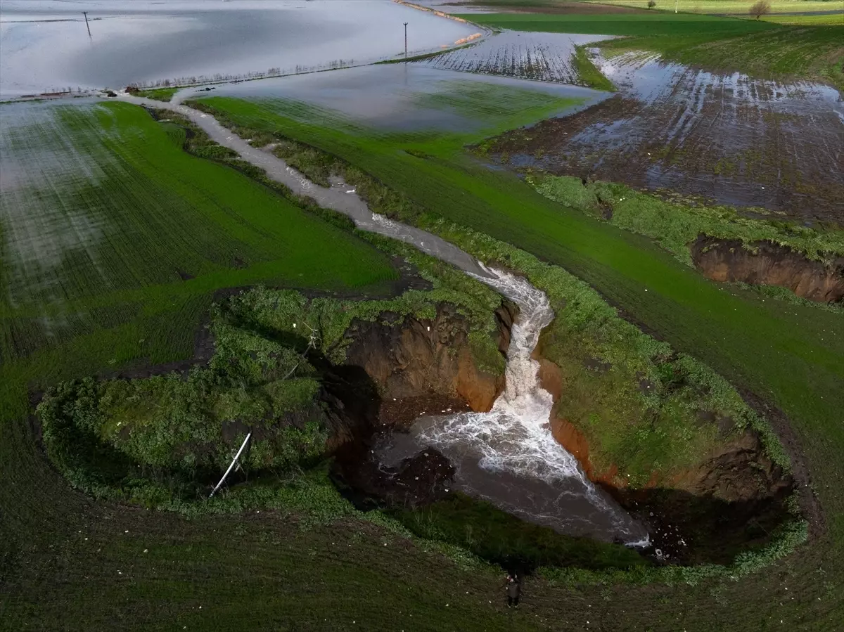 İzmir’de Yağmur Çiftçiyi Sevindiriyor: Sularla Bayram!