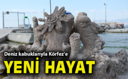 İzmir’de Yapay Resif Projesi Başlıyor!
