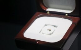 Minik Kitapla Ege Üniversitesi’nde Sanat Yolculuğu